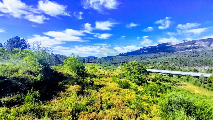 Quinta para Venda em Calheiros Foto 8