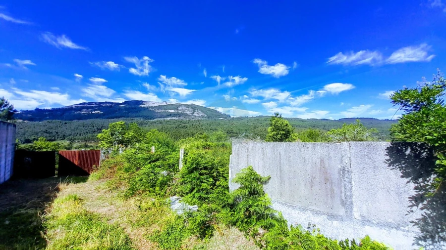 Quinta para Venda em Calheiros Foto 10