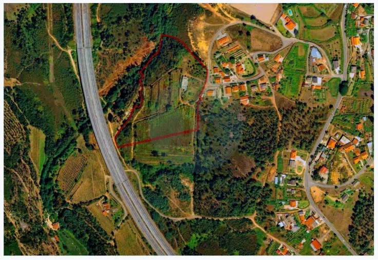 Quinta para Venda em Calheiros Foto 27