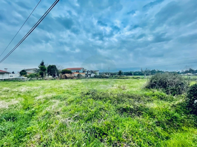 Terreno para Venda em Areias de Vilar e Encourados Foto 14