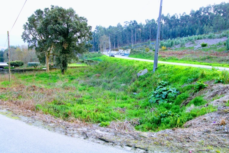 Terreno para Venda em Arcozelo