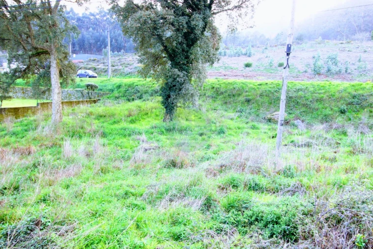 Terreno para Venda em Arcozelo Foto 10