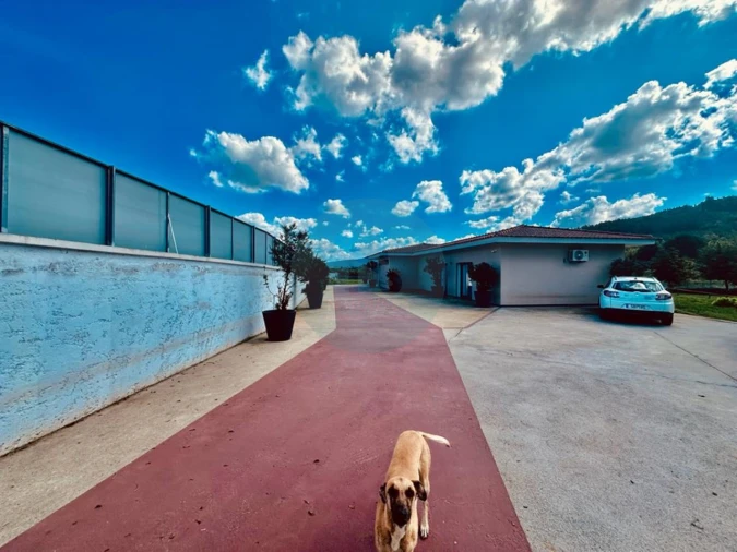 Moradia T3 para Venda em Lanhoso