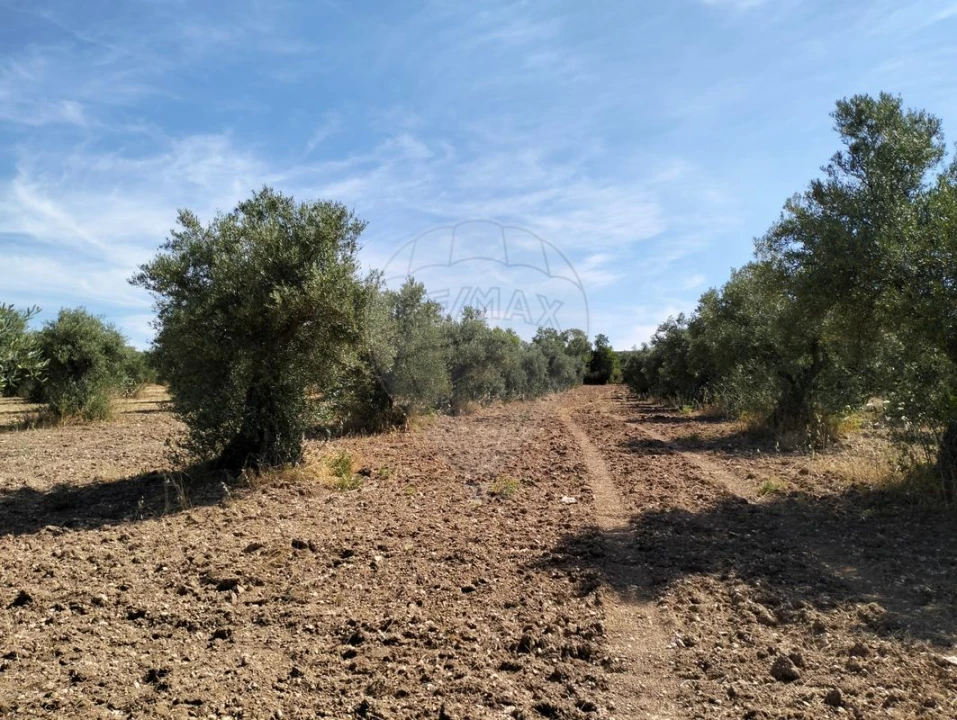 Terreno para Venda em Nossa Senhora da Expectação Foto 2