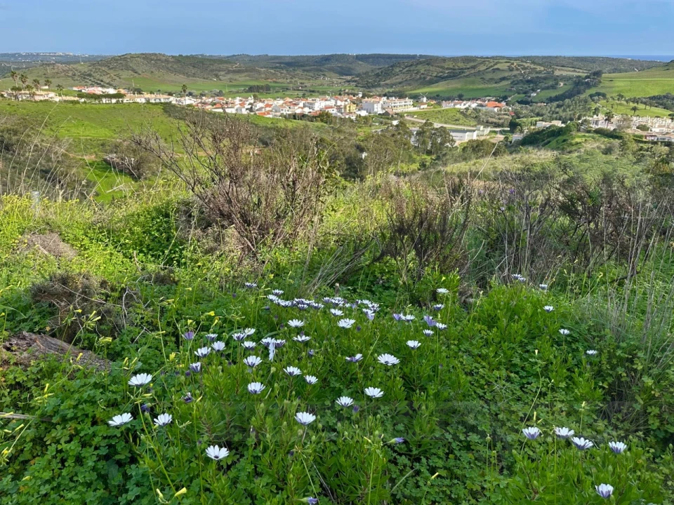 Terreno para Venda em Budens Foto 19