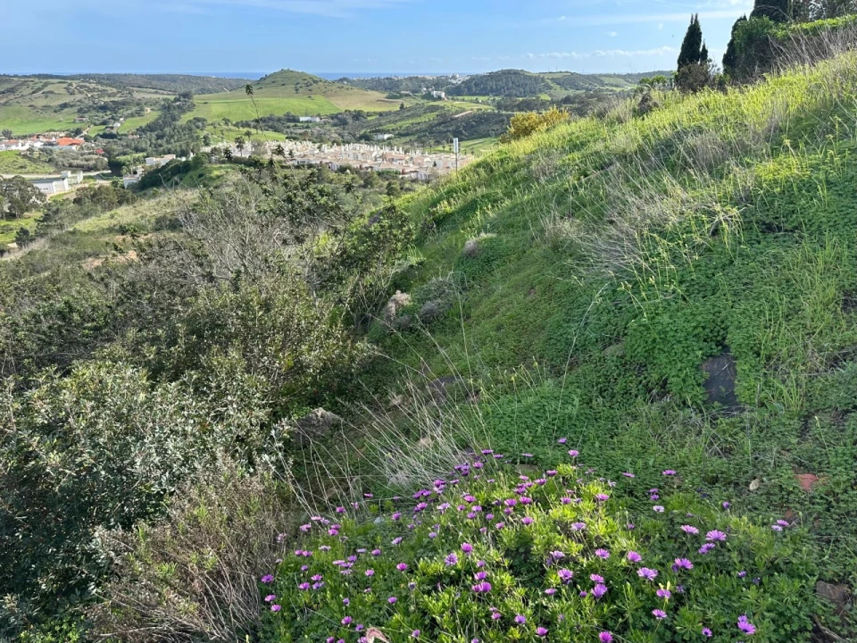 Terreno para Venda em Budens Foto 21
