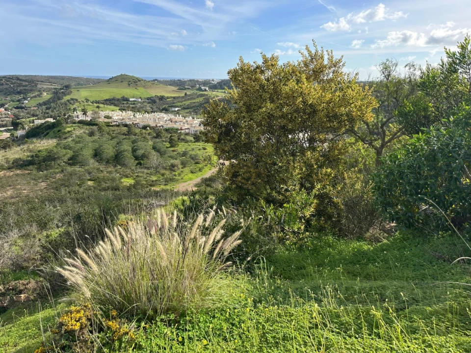 Terreno para Venda em Budens Foto 25