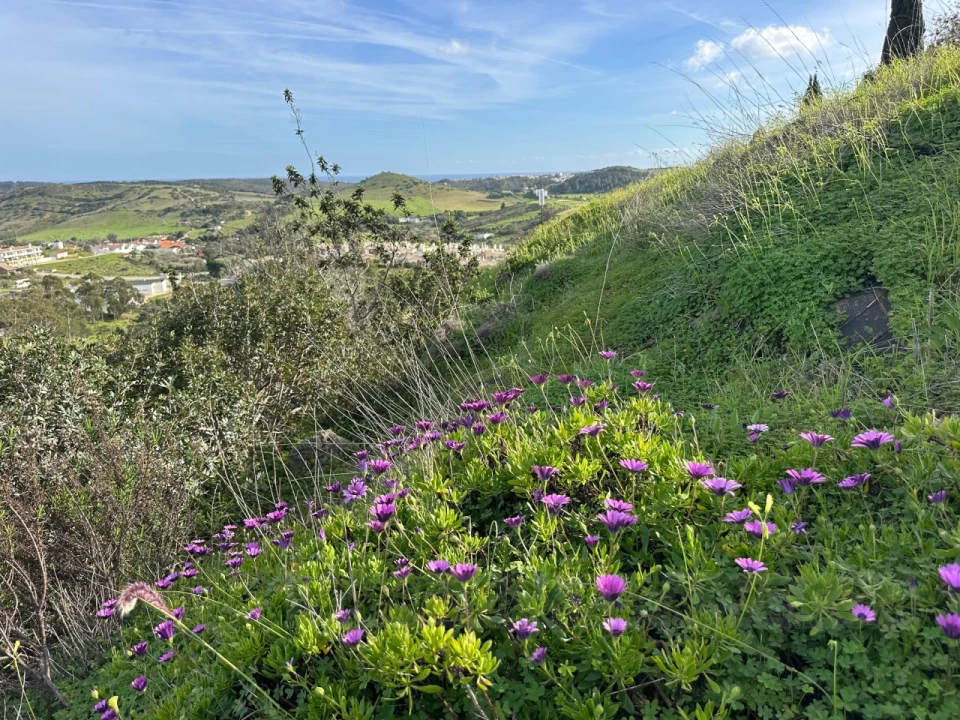 Terreno para Venda em Budens Foto 28
