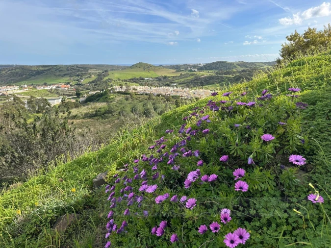 Terreno para Venda em Budens Foto 26