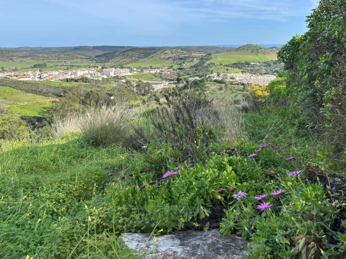 Terreno para Venda em Budens Foto 27