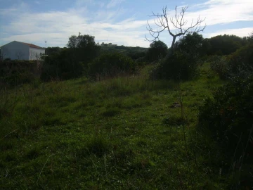 Terreno para Venda em Luz