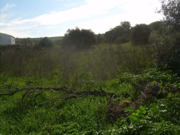 Terreno para Venda em Luz