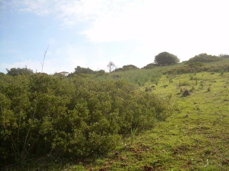 Terreno para Venda em Luz Foto 4