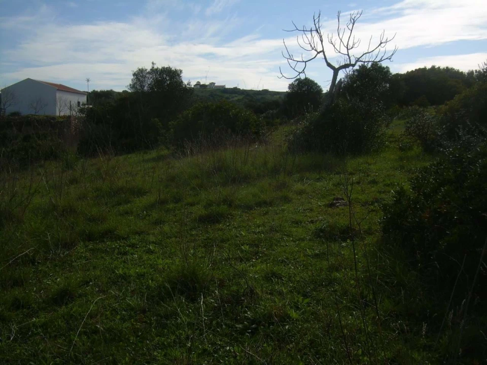 Terreno para Venda em Luz Foto 2
