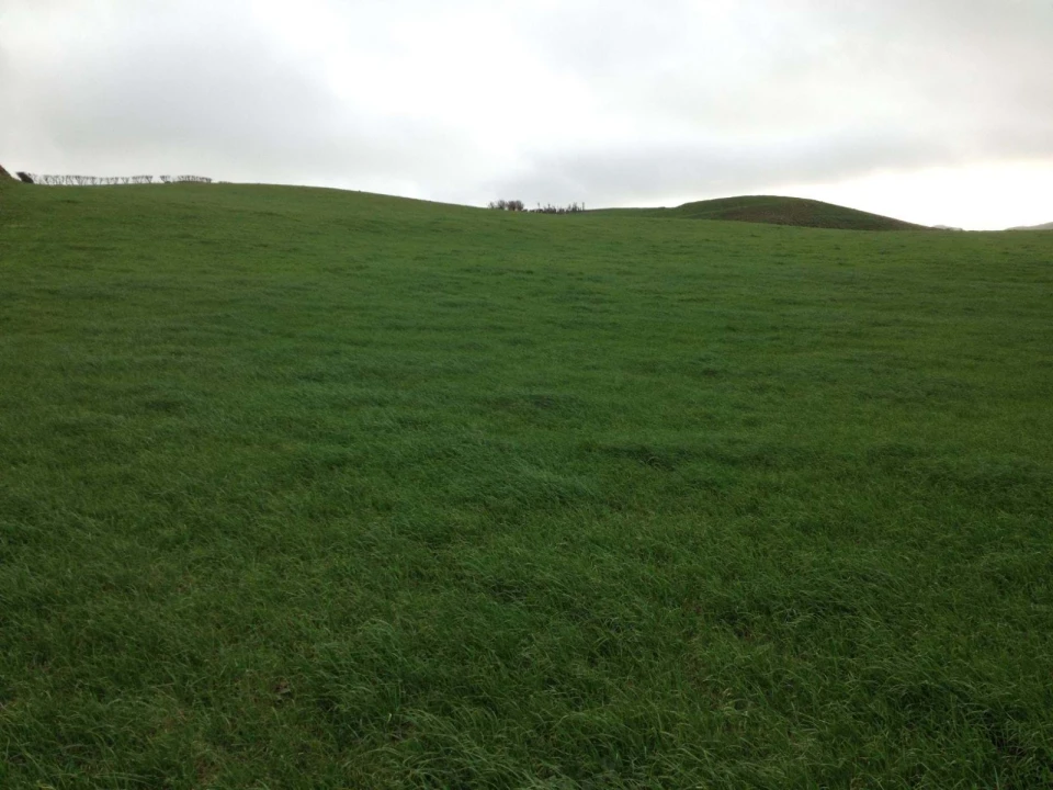 Terreno para Venda em Rabo de Peixe Foto 13