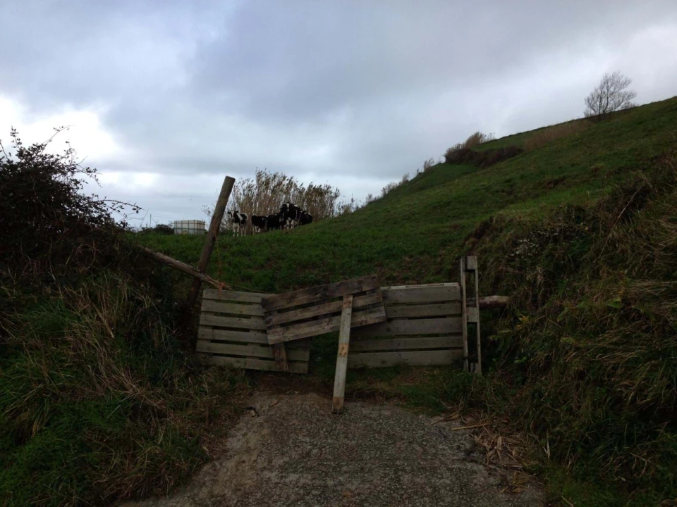 Terreno para Venda em Rabo de Peixe Foto 8