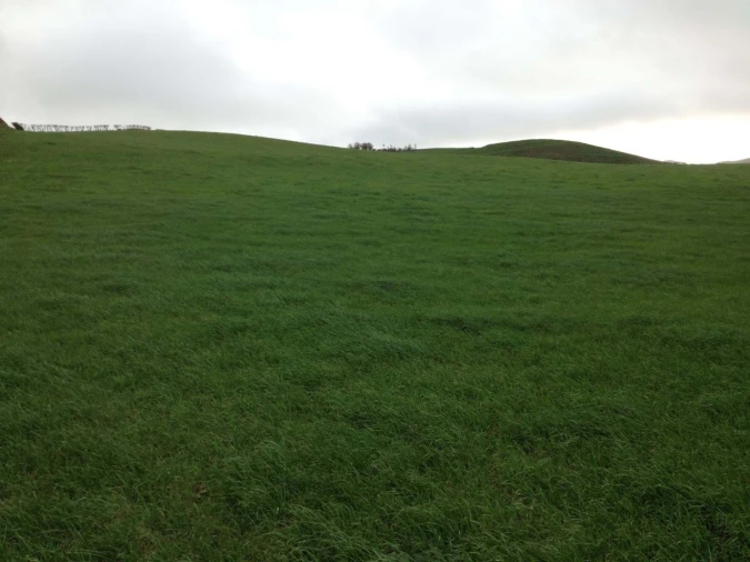 Terreno para Venda em Rabo de Peixe Foto 13