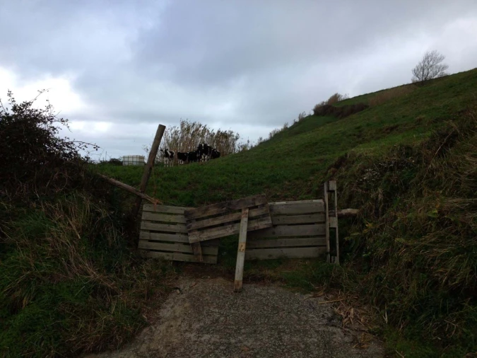Terreno para Venda em Rabo de Peixe Foto 8