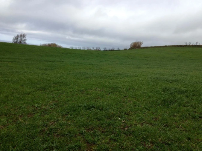 Terreno para Venda em Rabo de Peixe Foto 15