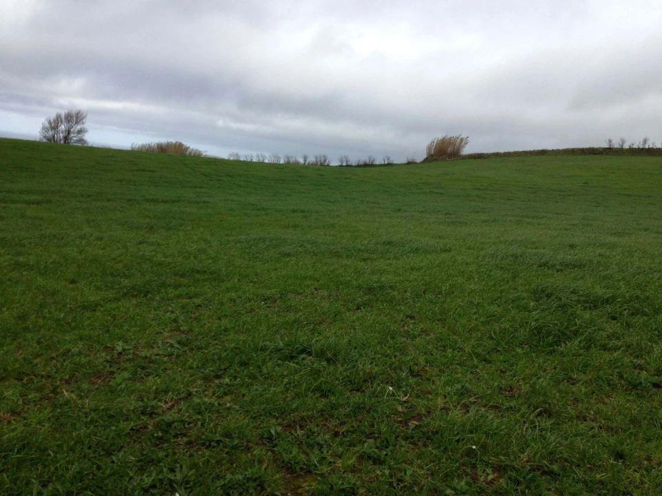 Terreno para Venda em Rabo de Peixe Foto 15