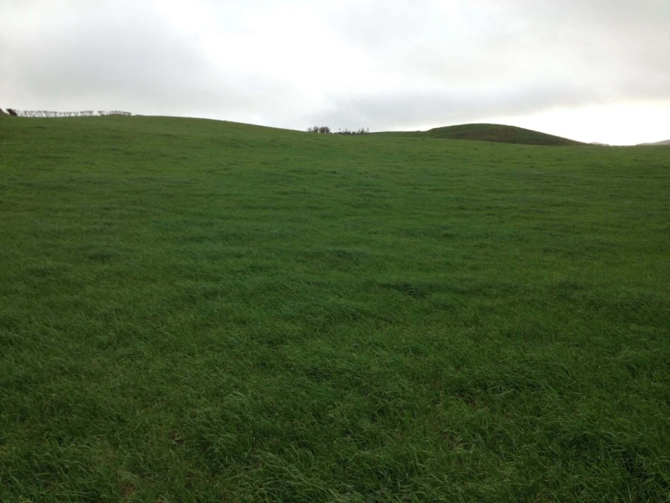 Terreno para Venda em Rabo de Peixe Foto 14