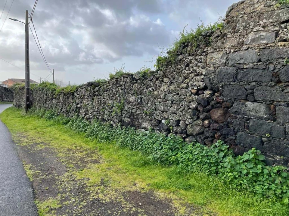 Terreno para Venda em Lagoa (Nossa Senhora do Rosario) Foto 15