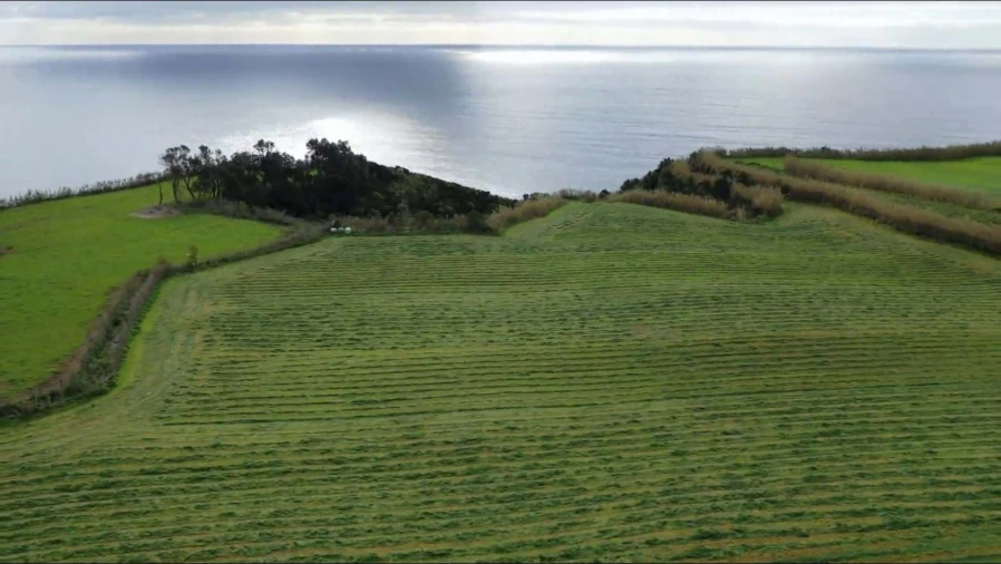 Terreno para Venda em Agua de Pau Foto 3