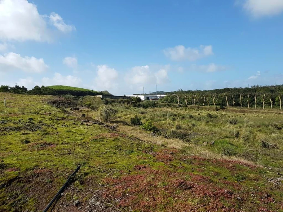 Terreno para Venda em Pico da Pedra Foto 3