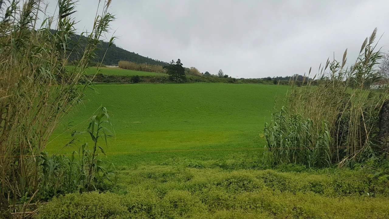 Terreno para Venda em Rabo de Peixe Foto 2
