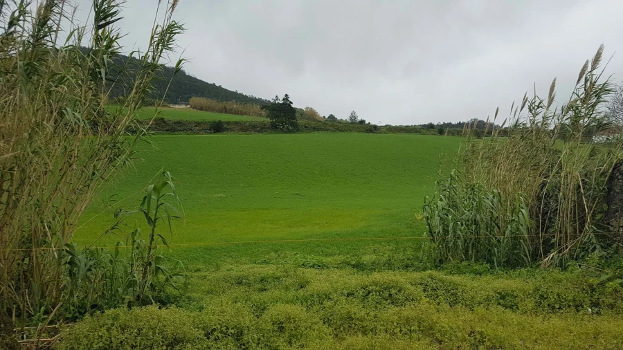 Terreno para Venda em Rabo de Peixe Foto 2
