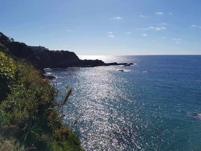 Terreno para Venda em Agua de Pau Foto 16