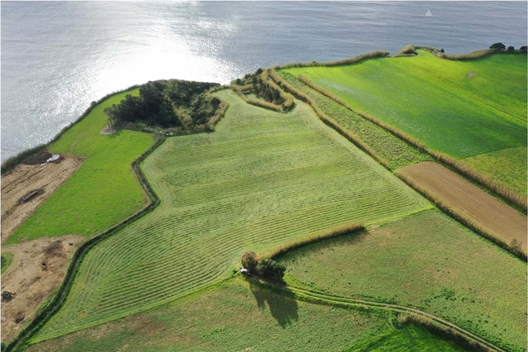 Terreno para Venda em Agua de Pau