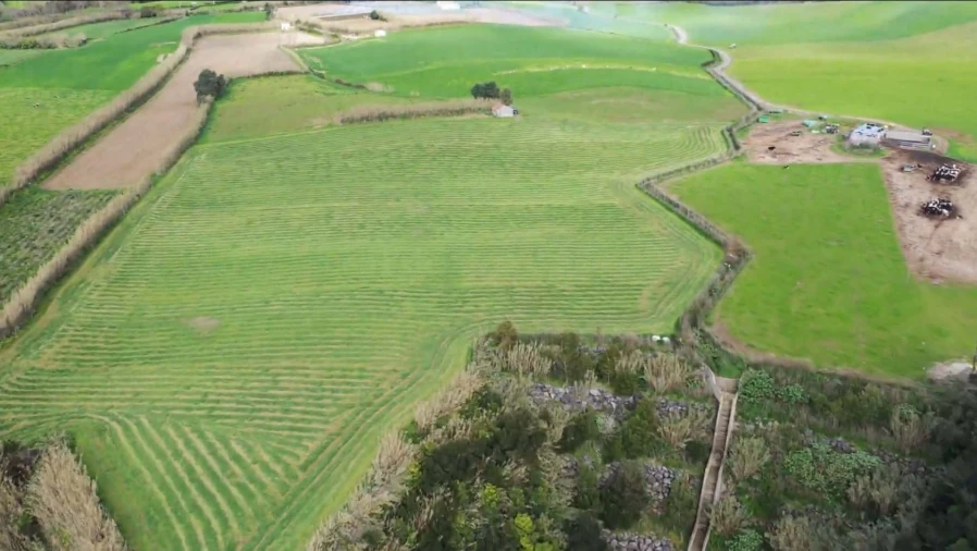 Terreno para Venda em Agua de Pau Foto 10