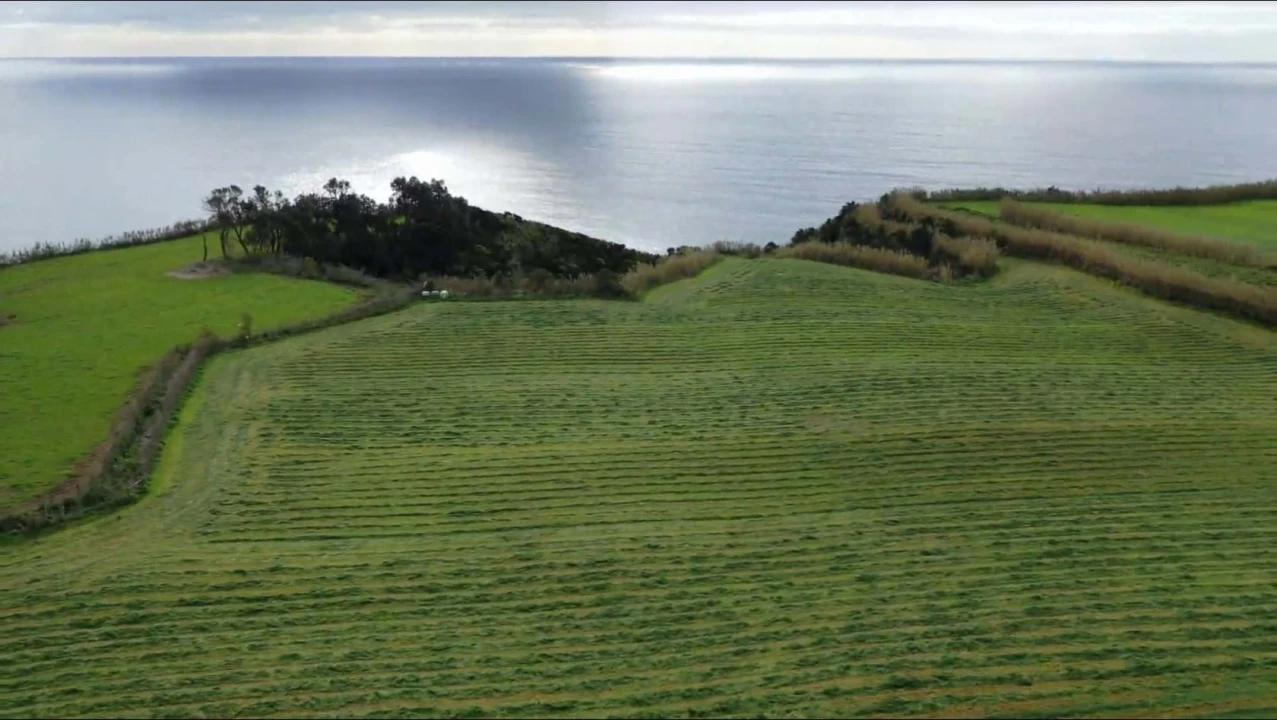 Terreno para Venda em Agua de Pau Foto 5