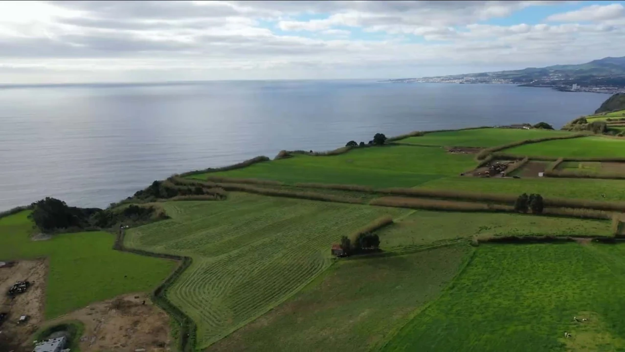 Terreno para Venda em Agua de Pau Foto 5