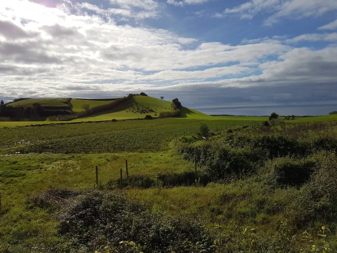 Terreno para Venda em Agua de Pau Foto 13