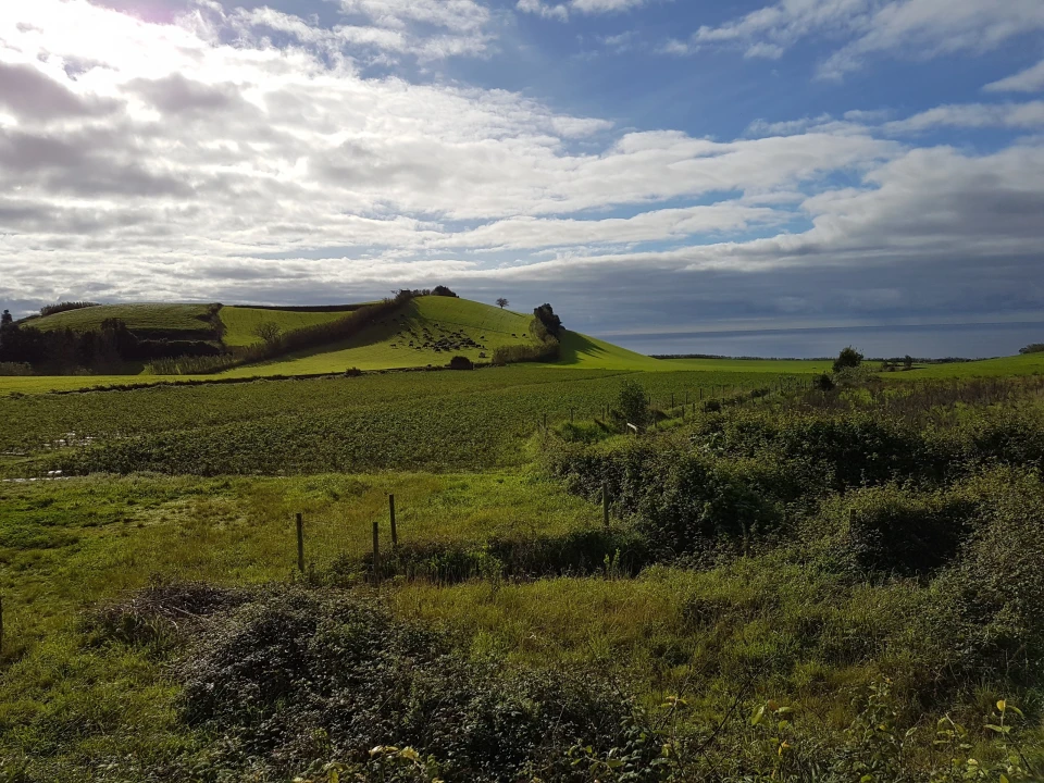 Terreno para Venda em Agua de Pau Foto 13