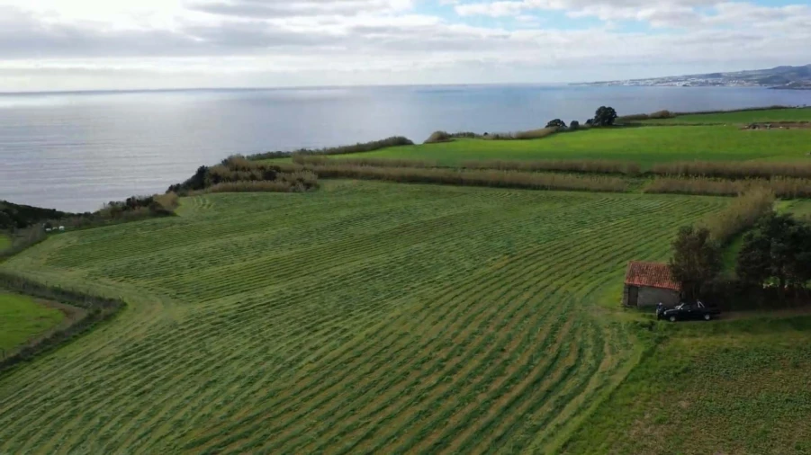 Terreno para Venda em Agua de Pau Foto 6