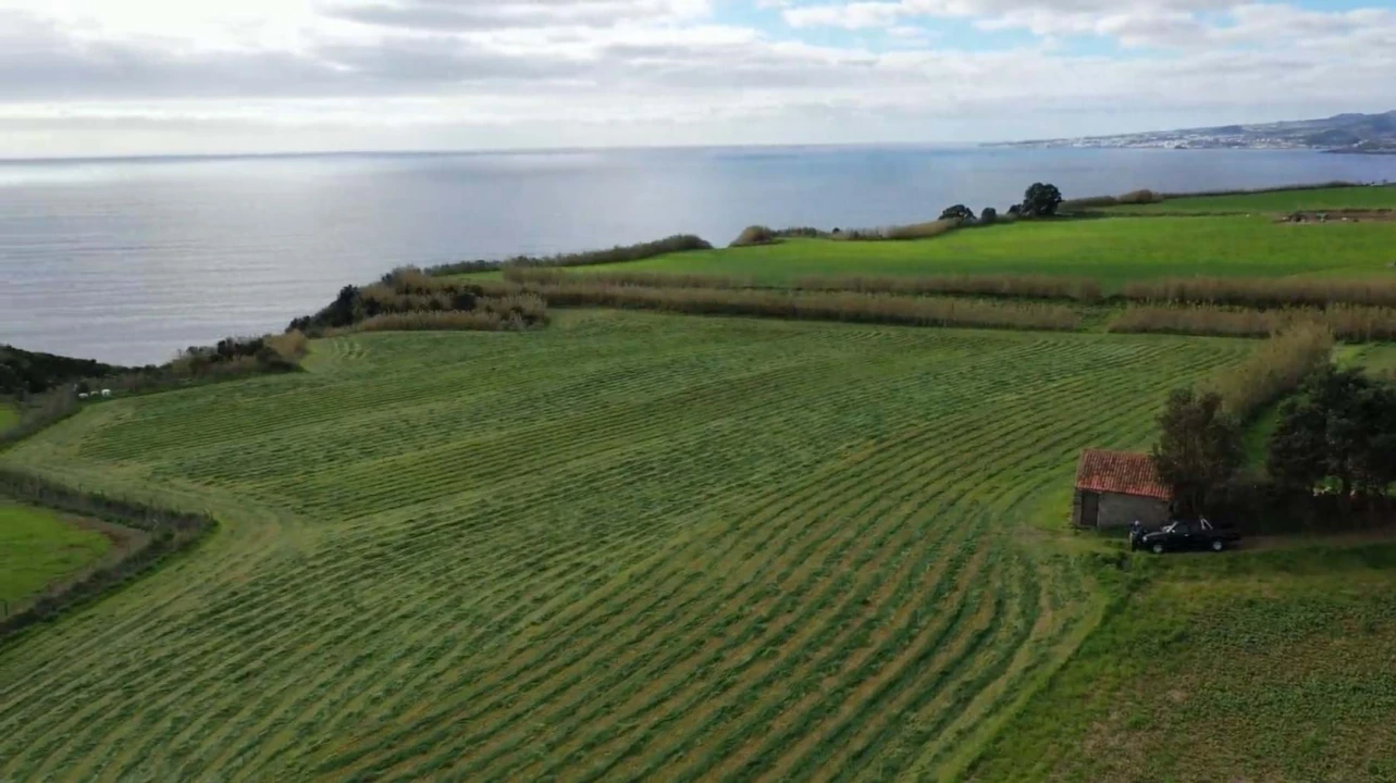 Terreno para Venda em Agua de Pau Foto 6
