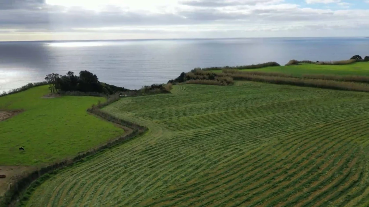 Terreno para Venda em Agua de Pau Foto 6