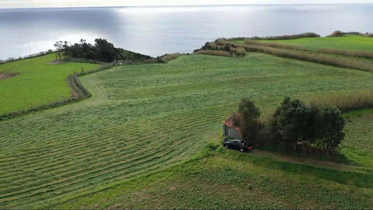 Terreno para Venda em Agua de Pau Foto 6