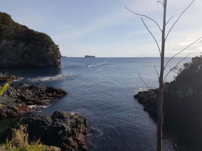 Terreno para Venda em Agua de Pau Foto 11