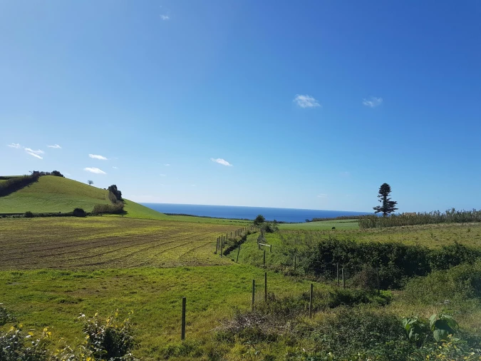 Terreno para Venda em Agua de Pau Foto 9