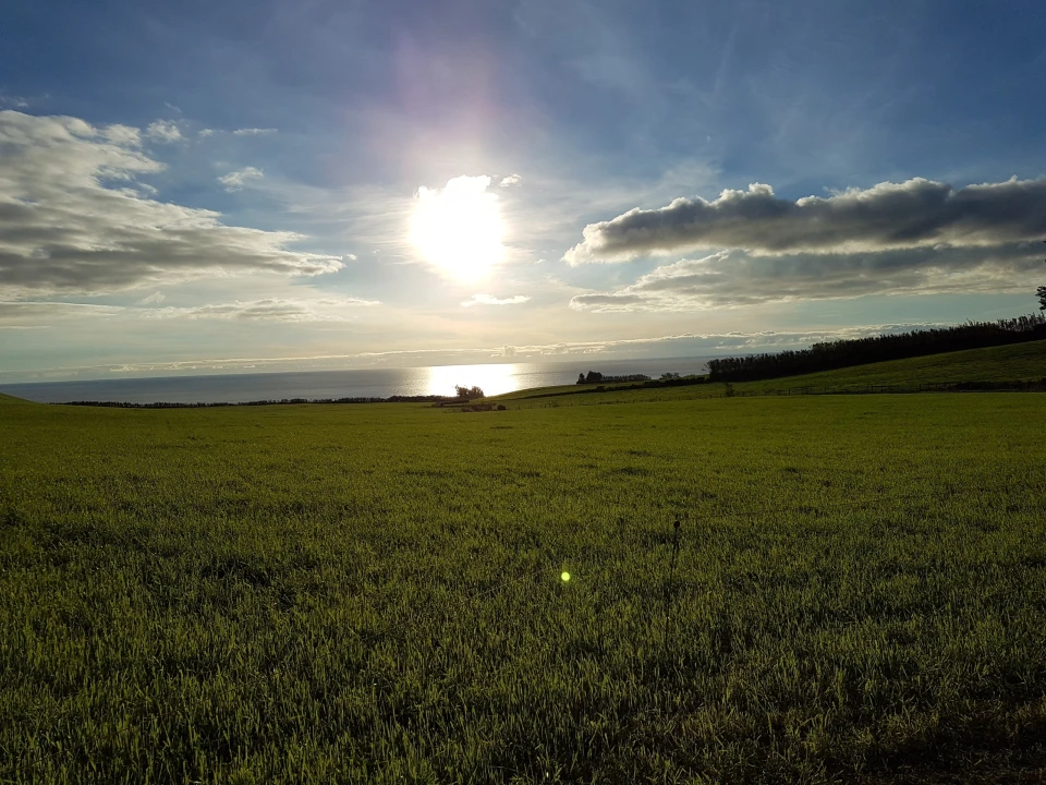 Terreno para Venda em Agua de Pau Foto 8