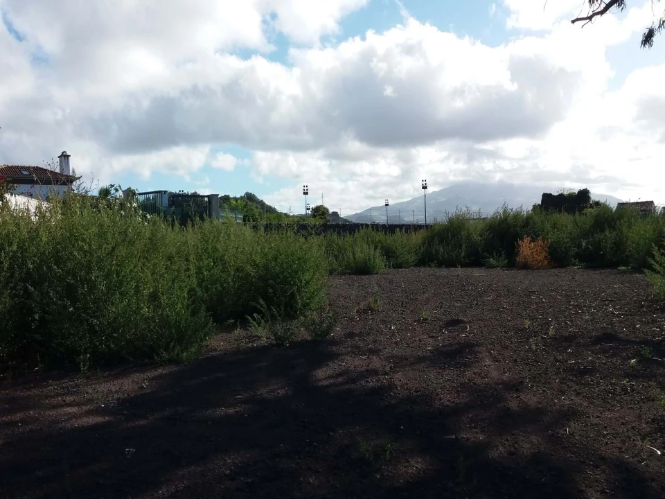 Terreno para Venda em Arrifes Foto 5