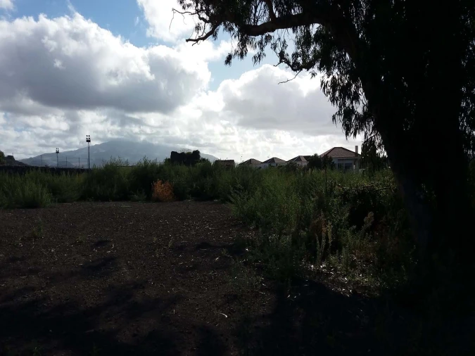 Terreno para Venda em Arrifes Foto 6