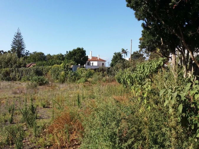 Terreno para Venda em Arrifes Foto 9