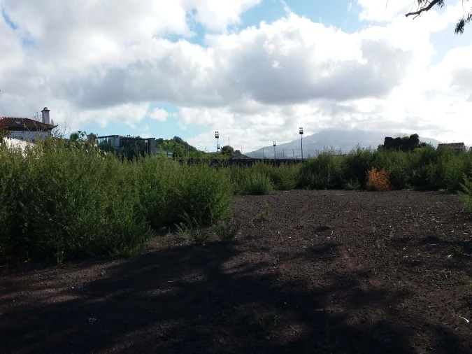 Terreno para Venda em Arrifes Foto 5