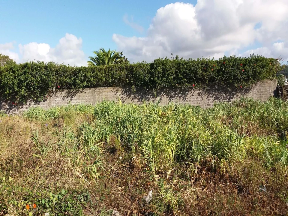 Terreno para Venda em Arrifes Foto 14