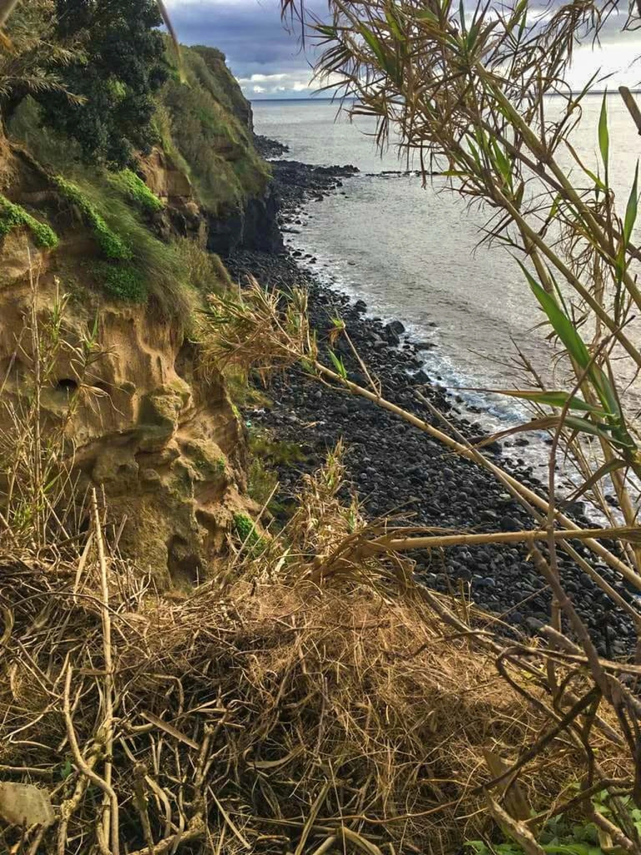 Moradia para Venda em Lagoa (Santa Cruz) Foto 14